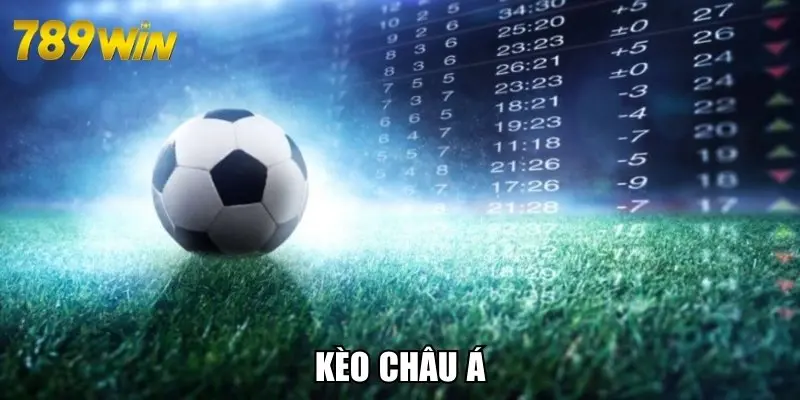 Kèo Châu Á - Hướng Dẫn Chi Tiết Cách Đọc Kèo Bao Chuẩn Xác
